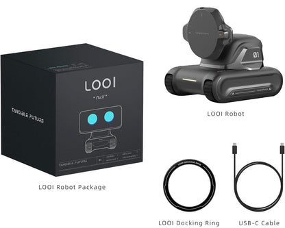 Robot-Space Black-AI Desktop Companion ChatGPT&Gemini Voice Interaction